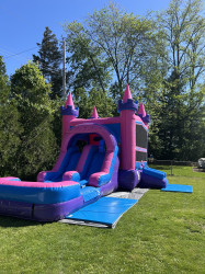 IMG 2616 1750246845 Princess Double Lane Wet/Dry Combo
